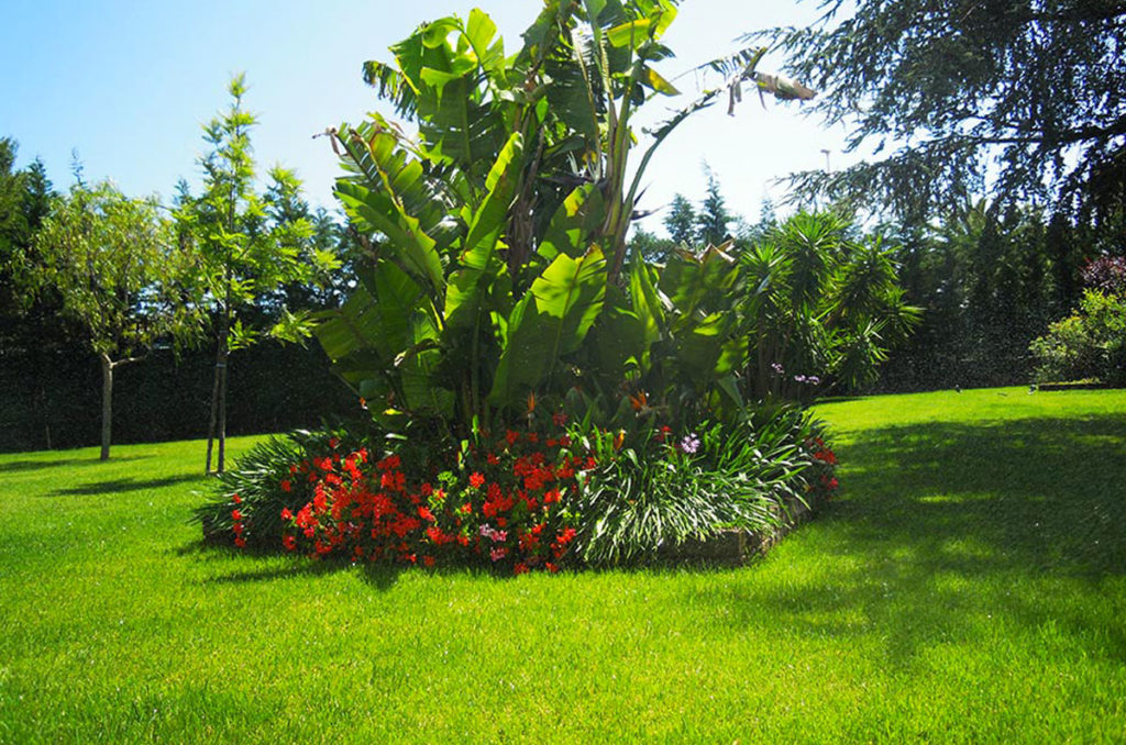 Tricarico Florgarden - Giovinazzo BARI