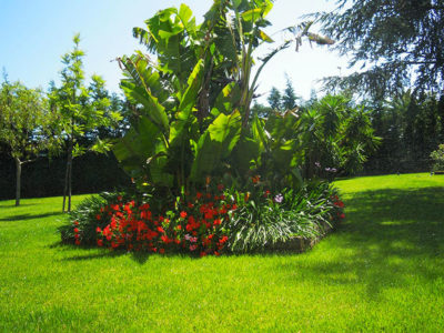 Tricarico Florgarden - Giovinazzo BARI